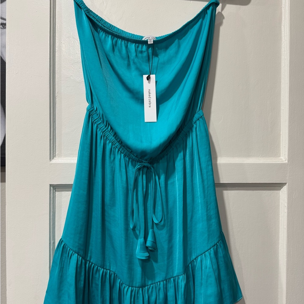 Naked Zebra Turquoise Tube Dress